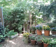 Sfeerimpressie camping - Camping &rsquo;t Haldert